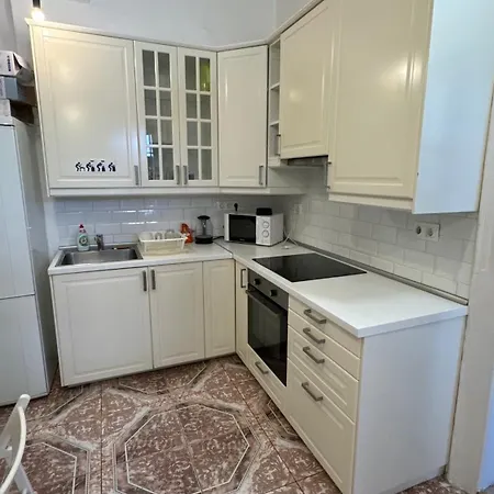 The 5-bedroom Downtown Apartment