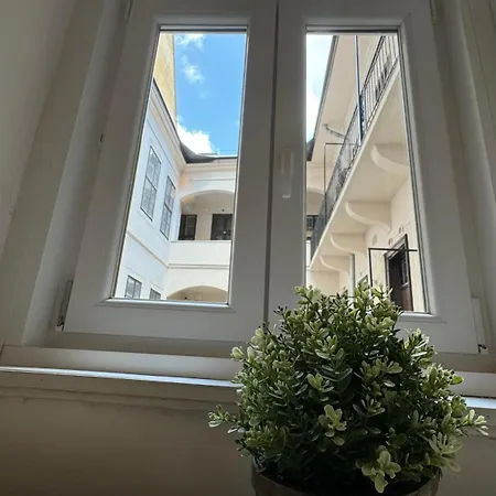 The 5-bedroom Downtown Apartment